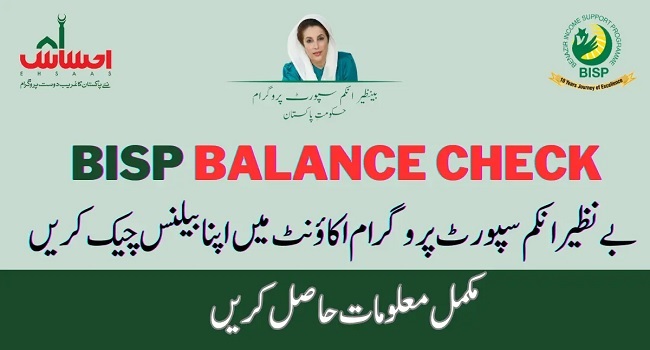 Benazir Income Support Program Check Account Online [2023-24]
