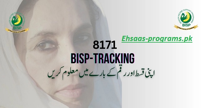 BISP Tracking Payment By CNIC ID Card Number - Online Check