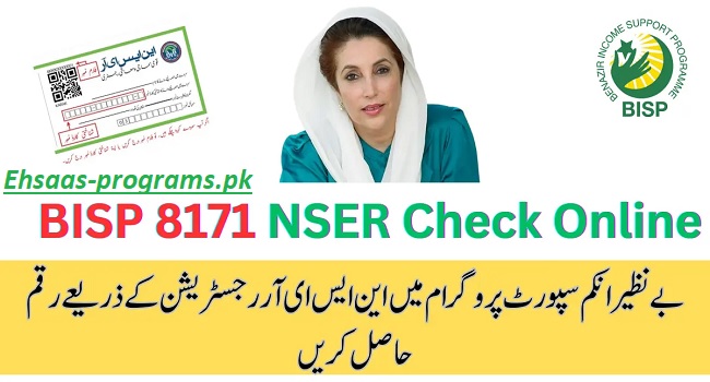 NSER Check Online Registration by CNIC Number 8171 SMS