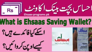 Ehsaas Bachat Bank Account 2023-24 Open - Complete Method