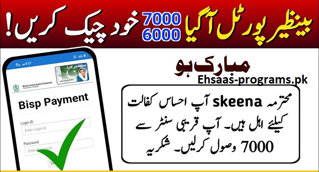BISP Payment Check by CNIC Online 2023 - New Method