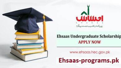 Ehsaas Undergraduate Scholarships Program 2023-24 Apply