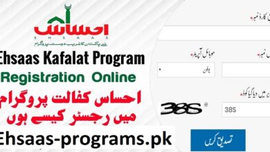 Ihsas Program Online Registration Form 2023 Check by CNIC