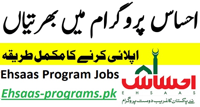 Ehsaas Program Jobs 2023 New Posts in Pakistan - Apply Online