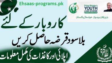 PM Loan Scheme Apply Online 2023-24 in Pakistan - New Method