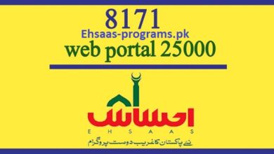 8171 Web Portal 25000 CNIC Check Online Payment 2023 BISP