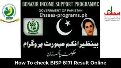 BISP 8171 Result 2023 Check Online by CNIC or SMS - New