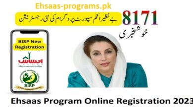 Ehsaas Program Online Registration 2023 - Step by Step Guide