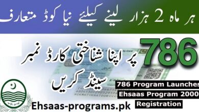 2000 Ehsaas Program CNIC Check Online Registration [786]