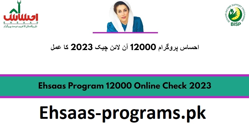 Ehsaas Program 12000 Online Registration Process [2023-24]