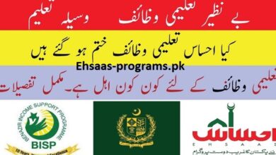 Benazir Taleemi Wazaif Program Check Online Eligibility 2023-24