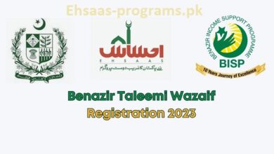 Benazir Taleemi Wazaif Online Registration Method 2023-24