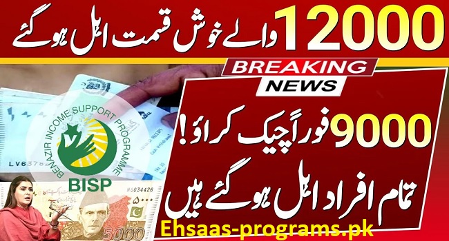 Benazir Income Support Programme Payment Check Online 2023