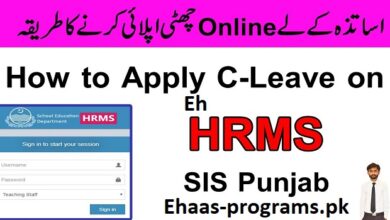 HRMS Online Leave Apply Punjab Gov PK 2023 - Casual Leave