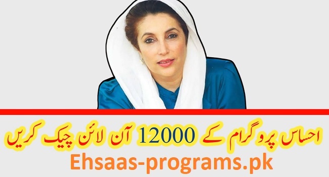 Ehsaas Program 12000 Online Check 2023 Registration