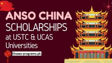 ANSO Scholarship 2024-2025 in China for Young Talents