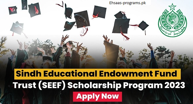 SEEF Scholarship for Undergraduate Students 2024 - Online Apply