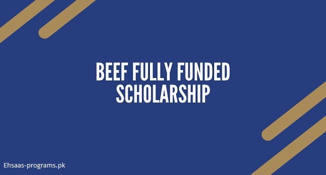 BEEF Scholarships 14000 for Matric to MS Level [2024]