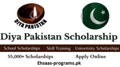 DIYA PAK Scholarship 2024 Application Form - Online Apply