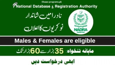 NADRA Jobs 2023 Online Apply for Males & Females in Pakistan