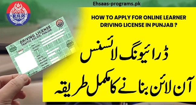 DLIMS Online Apply 2024 Driving License Information Management