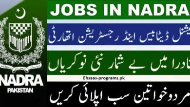 NADRA Jobs Online Apply Submit Application Form 2024