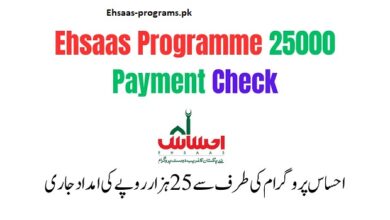 Ehsaas Programme News about 25000 Payment Check - 8171