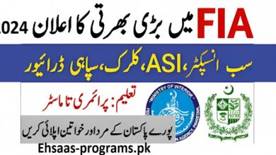 FIA Jobs Online Apply [2024] New Vacancies for Males & Females