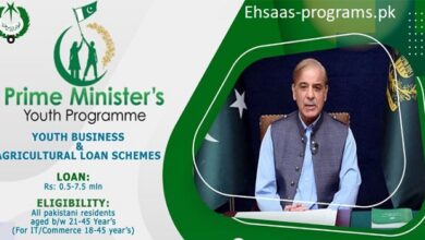 Prime Minister Loan Scheme Apply Online in Pakistan [2024]