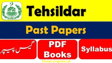 PPSC Tehsildar Past Papers PDF Free Download in 2024