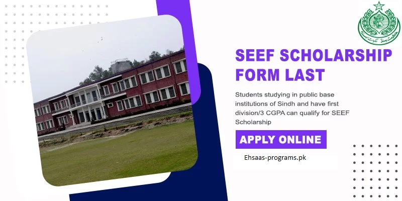 SEEF Scholarship for Undergraduate Students 2024 - Online Apply