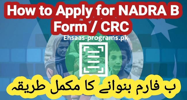 How To Apply NADRA B-Form (CRC), Required Documents [2024]