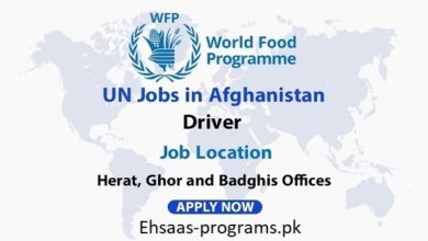 UN Jobs in Afghanistan - Kabul (2024) Apply Online, Urgent!