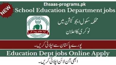 School Education Department Job 2024 - Online Apply