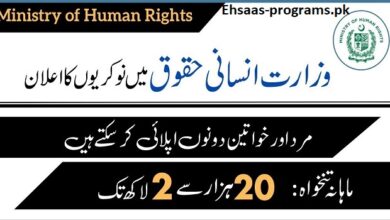 Ministry of Human Rights Jobs Online Apply 2024 in Pakistan