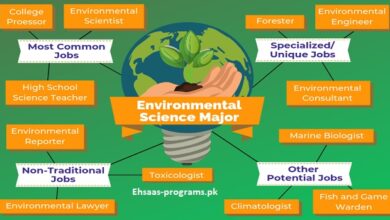 Environmental Jobs for Freshers in Pakistan 2024 Apply Online