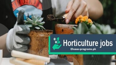 Horticulture Jobs in Pakistan 2024 Cultivating Careers, Apply Online