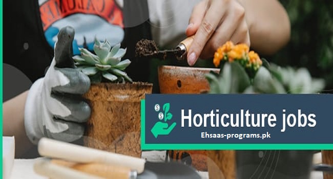 Horticulture Jobs in Pakistan 2024 Cultivating Careers, Apply Online