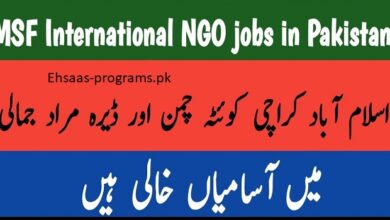 International NGO Jobs in Pakistan Online Apply [2024]