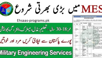 Military Engineering Service Jobs, MES Jobs 2024 Apply Online