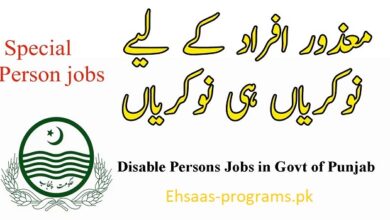 Disable Jobs in Pakistan Online Apply from All Over (2024)