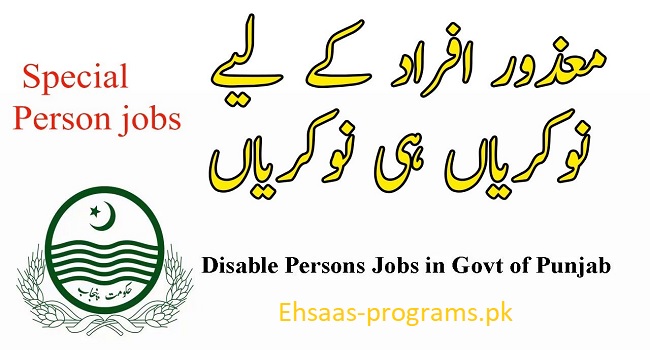 Disable Jobs in Pakistan Online Apply from All Over (2024)