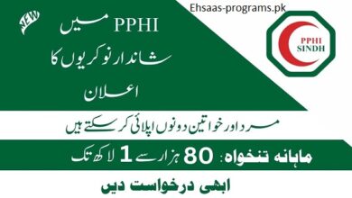 PPHI Sindh Jobs 2024 Apply Online | Latest Advertisement
