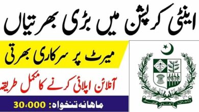 Anti Corruption Jobs in Pakistan Online Apply 2024 Advertisement