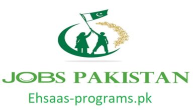 PK24 Jobs Application Form 2024 Online Apply in Pakistan