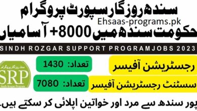 SRSP Jobs (Sarhad Rural Support Programme) 2024 Apply Online