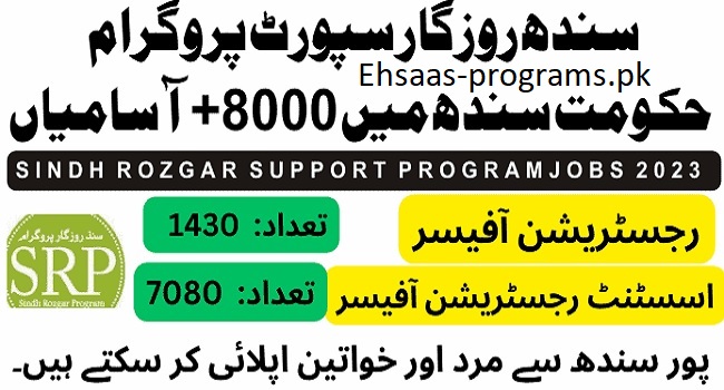 SRSP Jobs (Sarhad Rural Support Programme) 2024 Apply Online