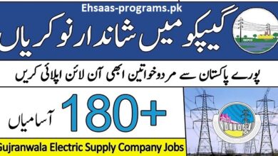 Gepco Jobs in Gujranwala, Pakistan 2024 Apply Online