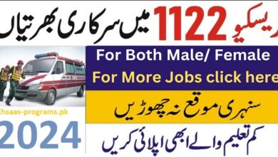 1122 Jobs in Punjab, KP, Sindh and Balochistan PaKistan (2024)