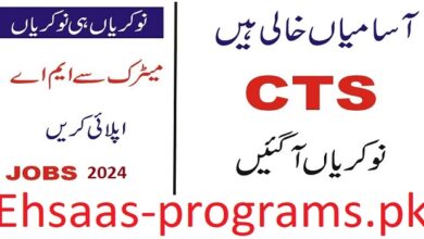 CTS Jobs in Pakistan Online Application Form (2024) Apply